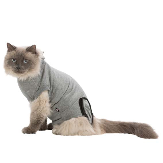 Trixie Skyddande body för katt Grå