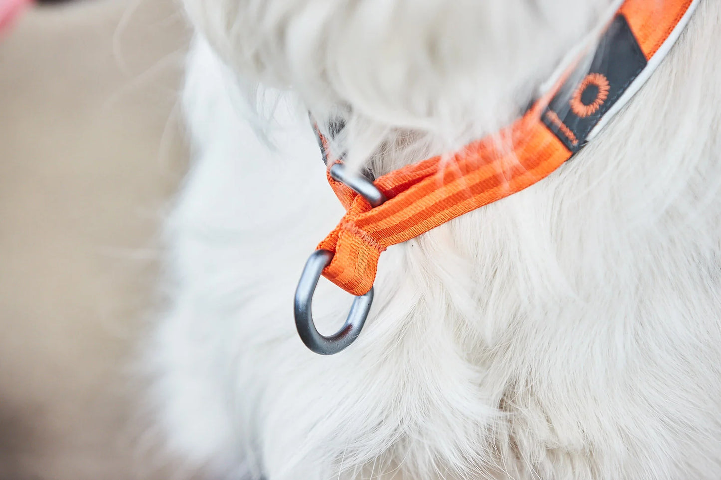 Non-stop Dogwear Cruise collar Orange